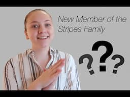 Meet the Newest Member of the Stripes Family!!!