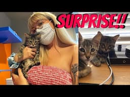 I SURPRISED her with 2 KITTENS!