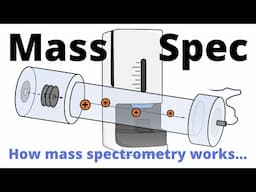 Mass Spectrometry explained – how it works