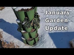 January Garden Update - Inside and Outside