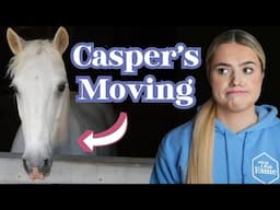 My horse Casper is MOVING!? This Esme