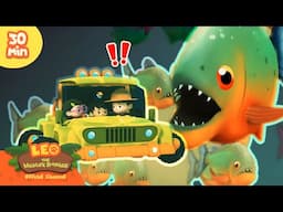 IS THE PIRANHA A MAN-EATING FISH?! 🦈 | Deadly Animals | Leo the Wildlife Ranger | Kids Cartoons