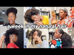 A WEEK IN MY TYPE 4 NATURAL HAIR... sooo many knots, new hair steamer, protective style, & more