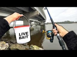 Fishing UNDER a Sketchy Bridge.. (Bank Fishing)