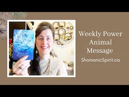 Dec 7-13, 2024: Weekly Power Animal Message And Crystal Healing Talisman. Dolphin symbolism