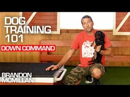 Dog Training 101: Down Command | Brandon McMillan