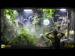 My Cloud Rainforest Vivarium: 1 YR Later