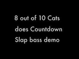 8 out of 10 Cats does Countdown - Jimmy Carr - Slap bass - Demo - Davey Pollitt