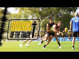 Sounds of the Track: Back to Work