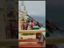 Crane falling into the sea