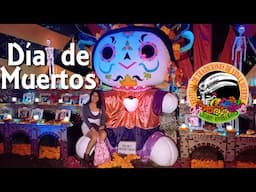 ¡Así vivimos el Festival de Día de Muertos 2023 en el parque Xcaret! 🌼🕯️💀🕯️🌼