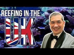 What I Discovered About Reefkeeping in the UK That Inspired Me!