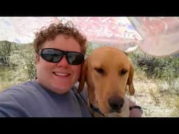 Animal lover on the autism spectrum becomes public speaker with her service dog | To The Rescue