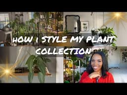 Creative ways I style 300 Houseplants+ Display tips and tricks