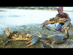 MONSTER MUD CRABS | முரட்டு கலி நண்டை வசமாக பிடித்த தாத்தா | Village Food | Grandpa Cooking Show