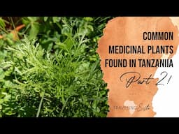 Common Medicinal Plants Found in Tanzania PART 2!