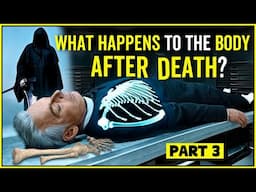 What Happens When You Die? What Happens To The Body After Death? After Deat What Happens To Body