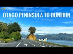 Dunedin Most Scenic Drive Otago Peninsula To Dunedin City Centre 2025 4K | New Zealand Driving Tour