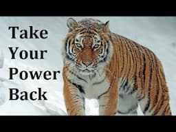 7 Ways to Take Your Power Back Now