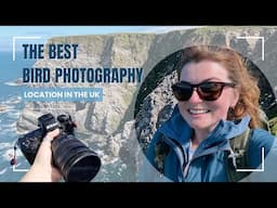 The BEST bird photography location in the UK! 🌎 📸