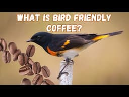 What is bird friendly coffee?