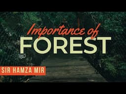 Importance of Forests Part 2 | #geography #olevels #forests #planttrees #forestprotection