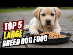 Top-Rated Large Breed Puppy Dog Food: A Review