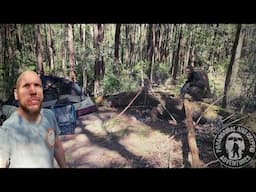 YOWIE: Finding Australia's Sasquatch || Season 3 Episode 4 || "The Calm Before The Storm"