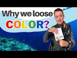 What Happens to Color Underwater and Why do Objects Look Bigger in Water -Beginner Scuba Diving Tips