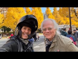 TOKYO MOTORCYCLE RIDE LIVE | AUTUMN TREES  🛵 DEC 2, 2024  | POV