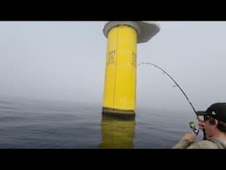 We Went Back To the Offshore Windfarm and caught 10+ Species