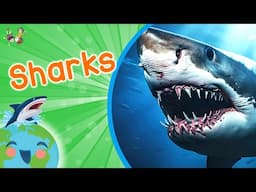 Sharks - Animals for Kids (Educational Video for Kids)