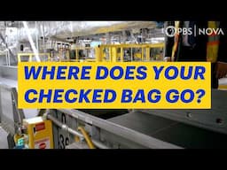 What Happens to Your Checked Bag at the Airport? | NOVA | PBS