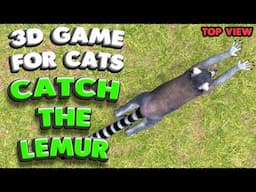 3D game for cats | Catch the LEMUR (top view) | 4K, 60 fps, stereo sound