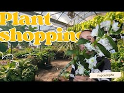 Impromptu Plant Shopping + Plant Haul! - I left work early to be amongst the plants