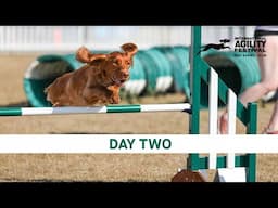 The Kennel Club International Agility Festival 2024 | Day 2 Main Ring