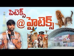 Petex 2025: Explore Hyderabad’s Biggest Pet Carnival at Hitex | Pets Exhibition Hyderabad | Aadhan