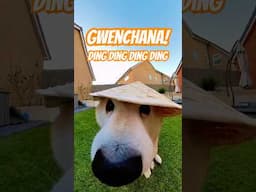 GWENCHANA! Ding ding ding ding ding #cutenessoverload