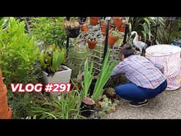 LET's BEGIN THE FRONT GARDEN CLEANING  | VLOG #291