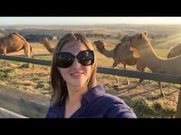 Catie Explores Marnong Estate Vinery And Animal Petting Zoo Victoria Melbourne Australia  Part 3