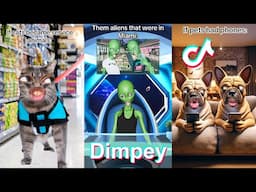 * NEW * Dimpey6 Shorts Compilation 2024 | Funny Dimpey TikToks Video