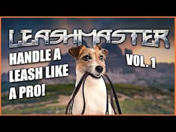 Learn the Dog Leash Handling Secrets of the Pros! How to handle a leash properly