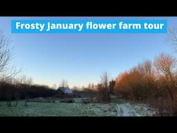 January flower farm tour with frost and lots of jobs to do