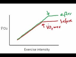 Cardiorespiratory - VO2max