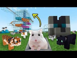 Hamster in Roller Coaster + Maze The Pig House in Minecraft