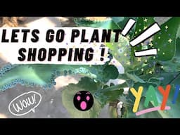 Plant Shopping! Found a Wishlist plant!! |Plant Haul| House Plant shopping|