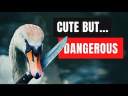 The Most Dangerous Animals You Didn't Expect