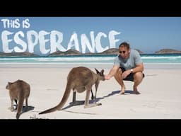 ESPERANCE TOP BEACHES | SWIMMING WITH DOLPHINS