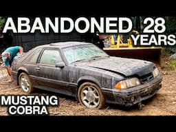 Abandoned Mustang Cobra First Wash in 28 Years! Insane Before and After Transformation