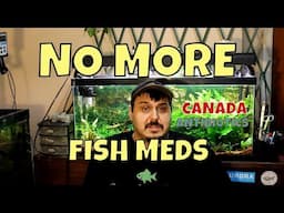 We Are Losing Our Fish Medications | Antibiotic Resistant Bacteria